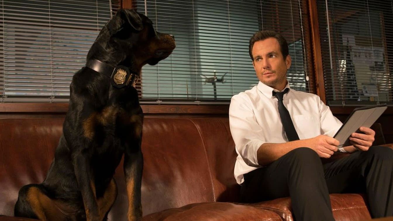 Show dogs - Entriamo in scena - immagine