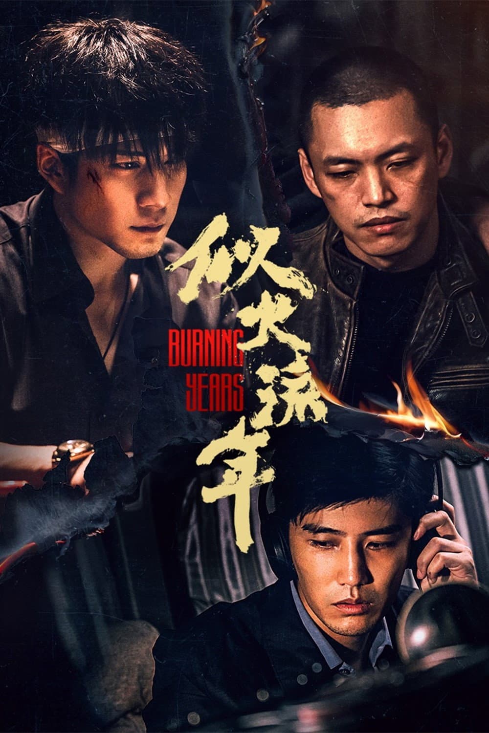 Poster di 似火流年