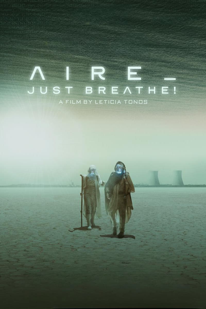 Poster di Aire