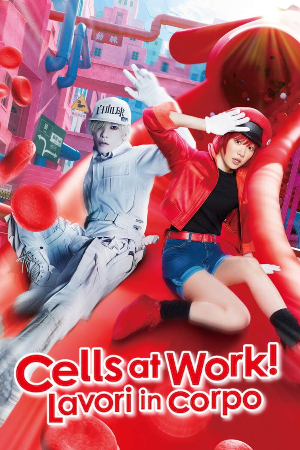 Poster di Cells at Work! - Lavori in corpo