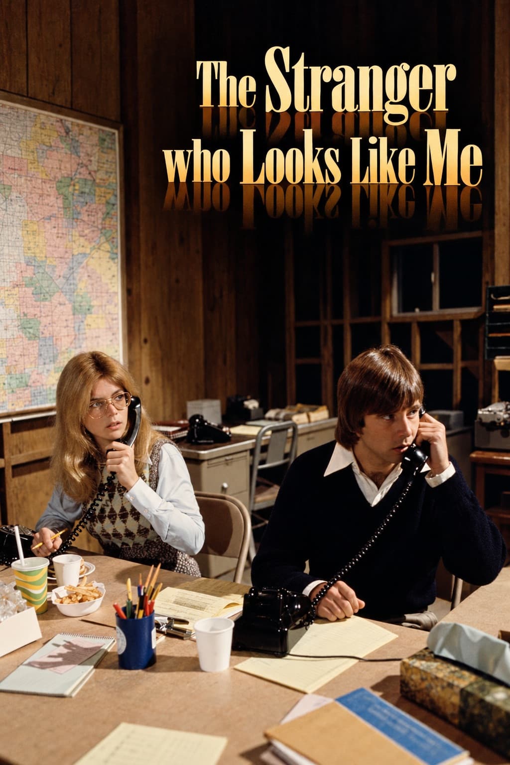 Poster di The Stranger Who Looks Like Me