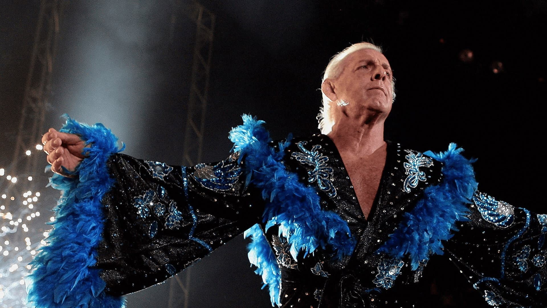 Nature Boy - immagine