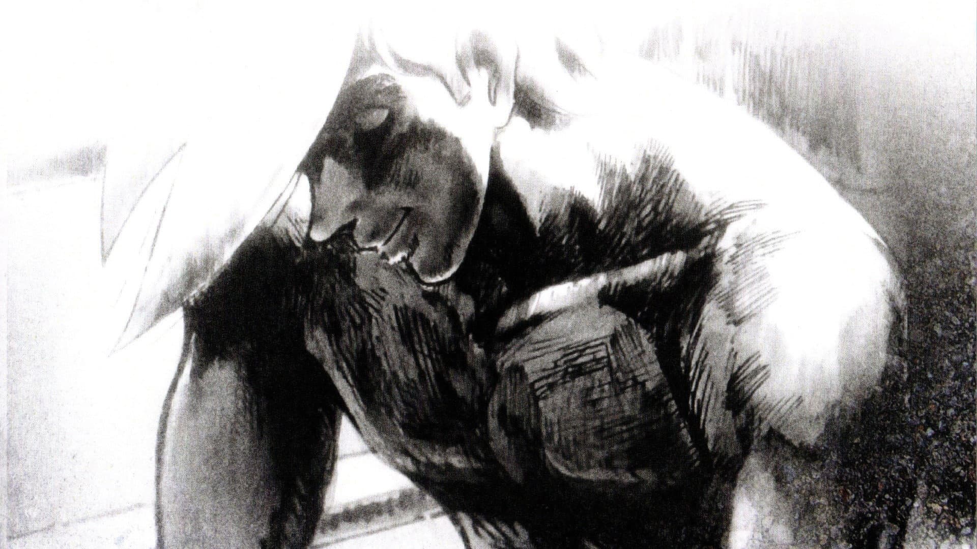 Rocky Joe: L'ultimo round - immagine