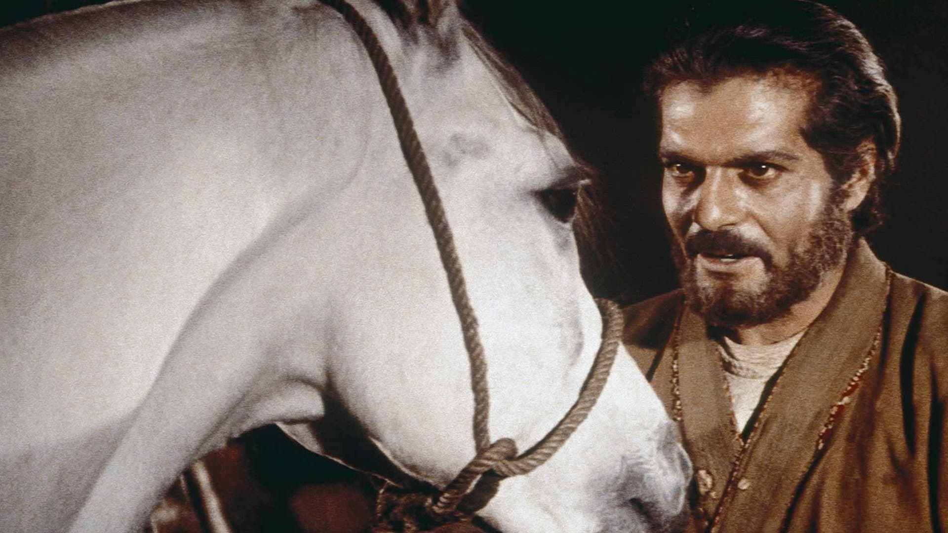 Cavalieri selvaggi - immagine