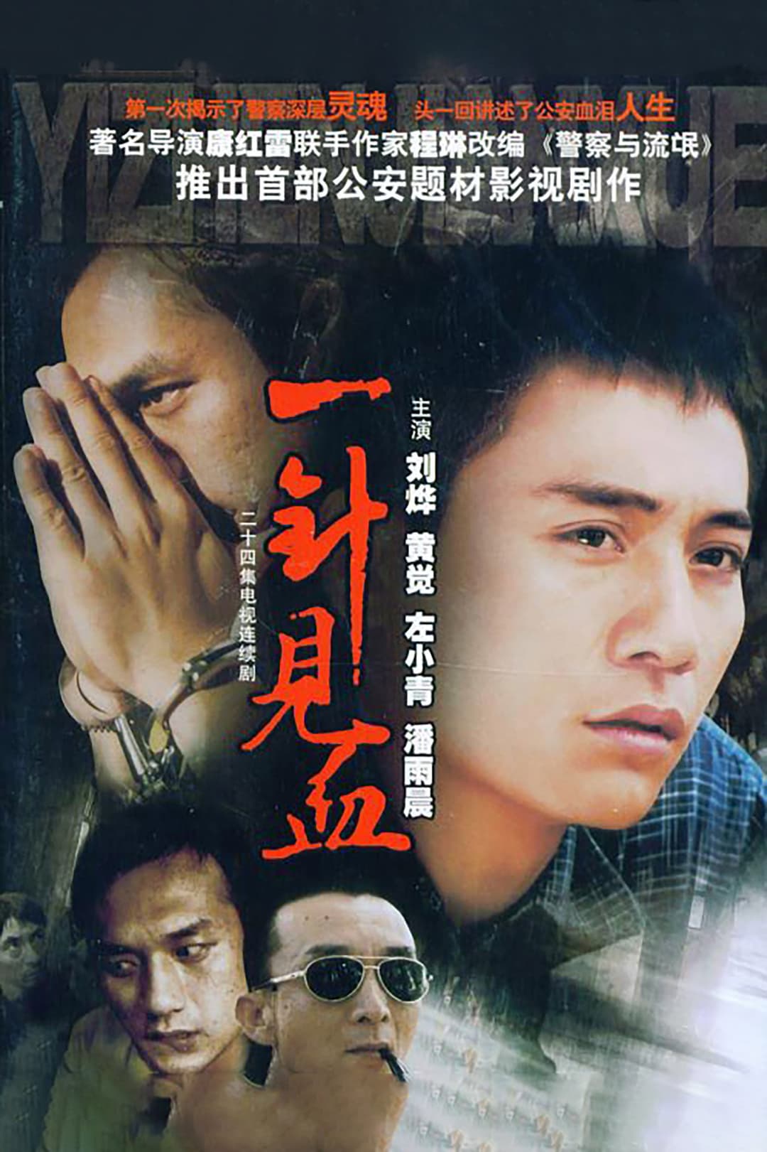 Poster di 一针见血