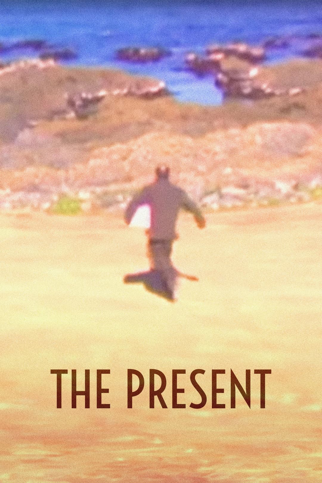 Poster di The Present