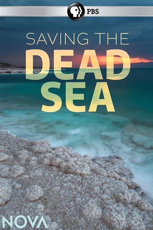 Poster di Saving the Dead Sea