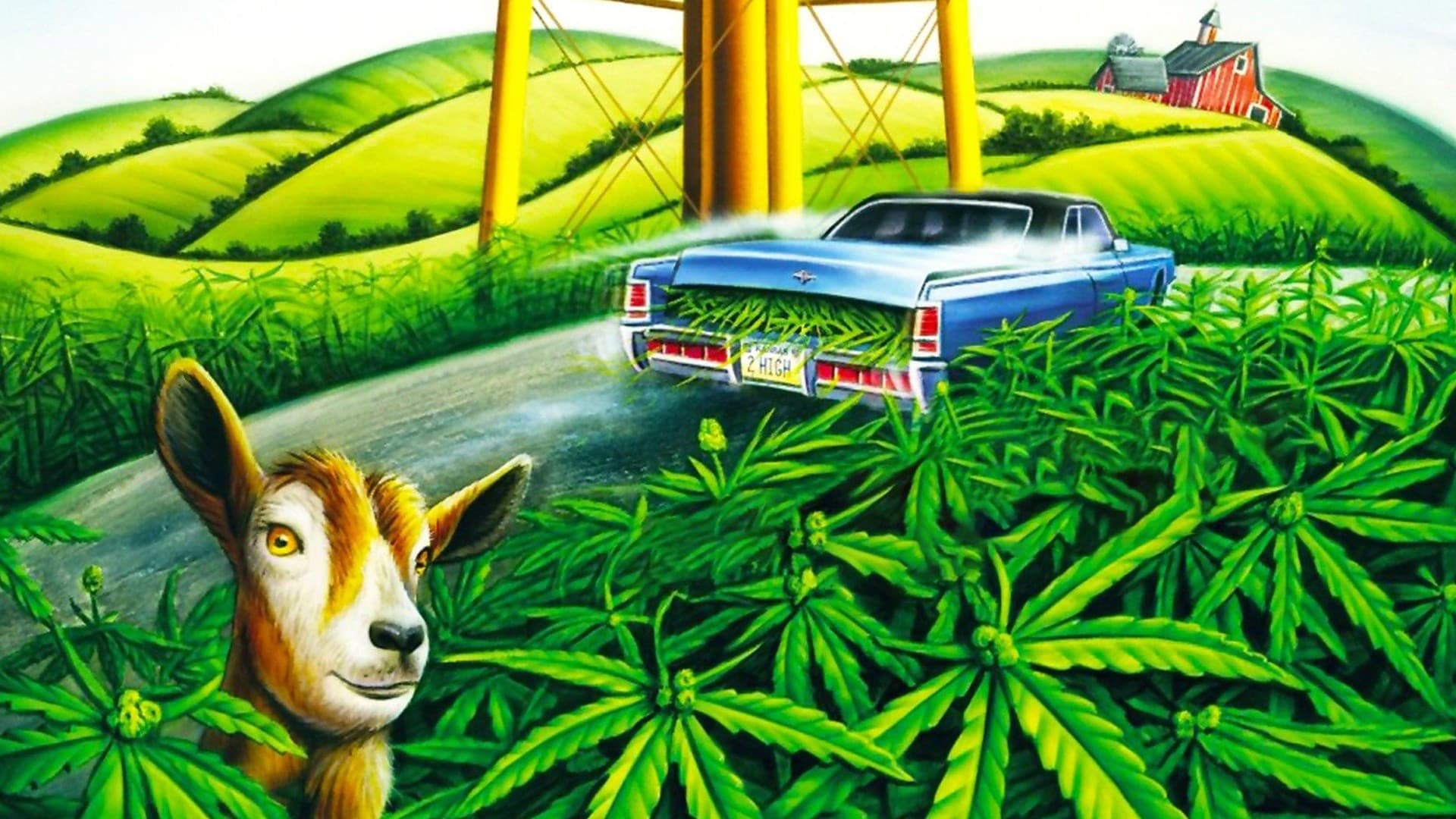 Rolling Kansas - immagine