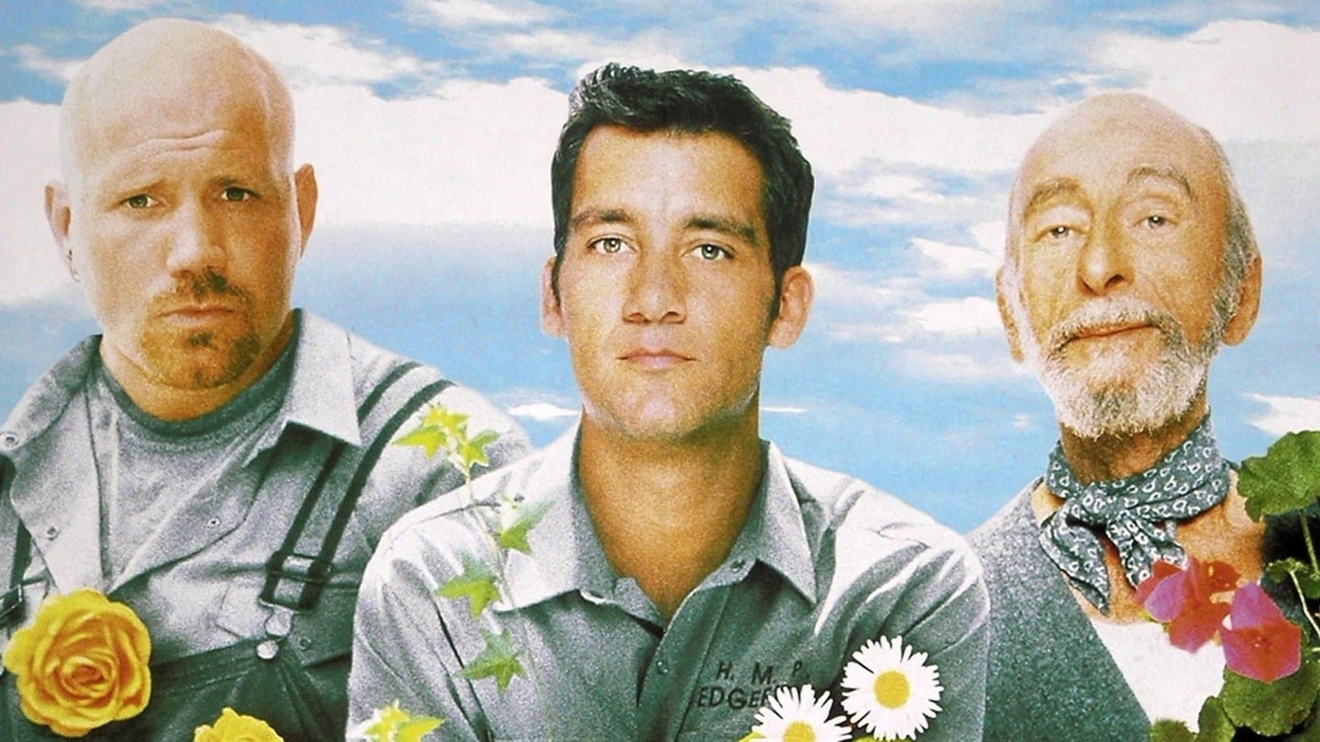 Pollice verde - immagine