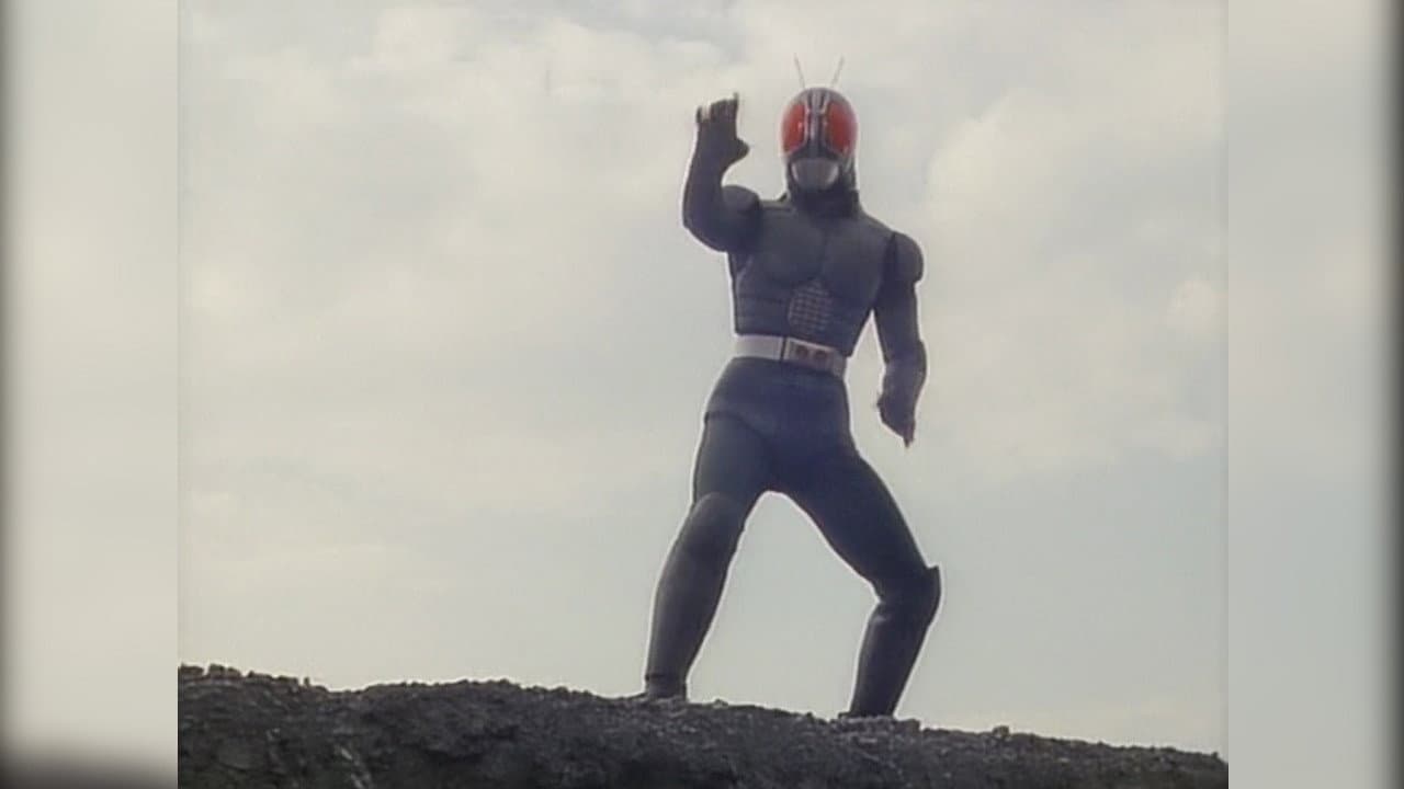 仮面ライダー1号~RX大集合 - immagine