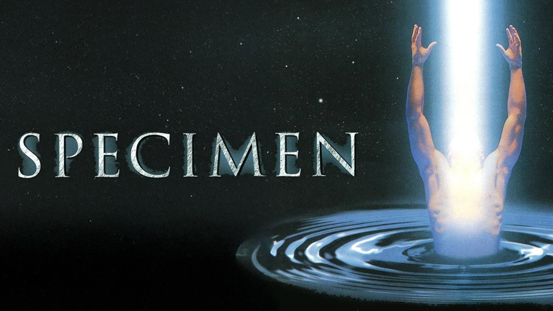 Specimen - immagine