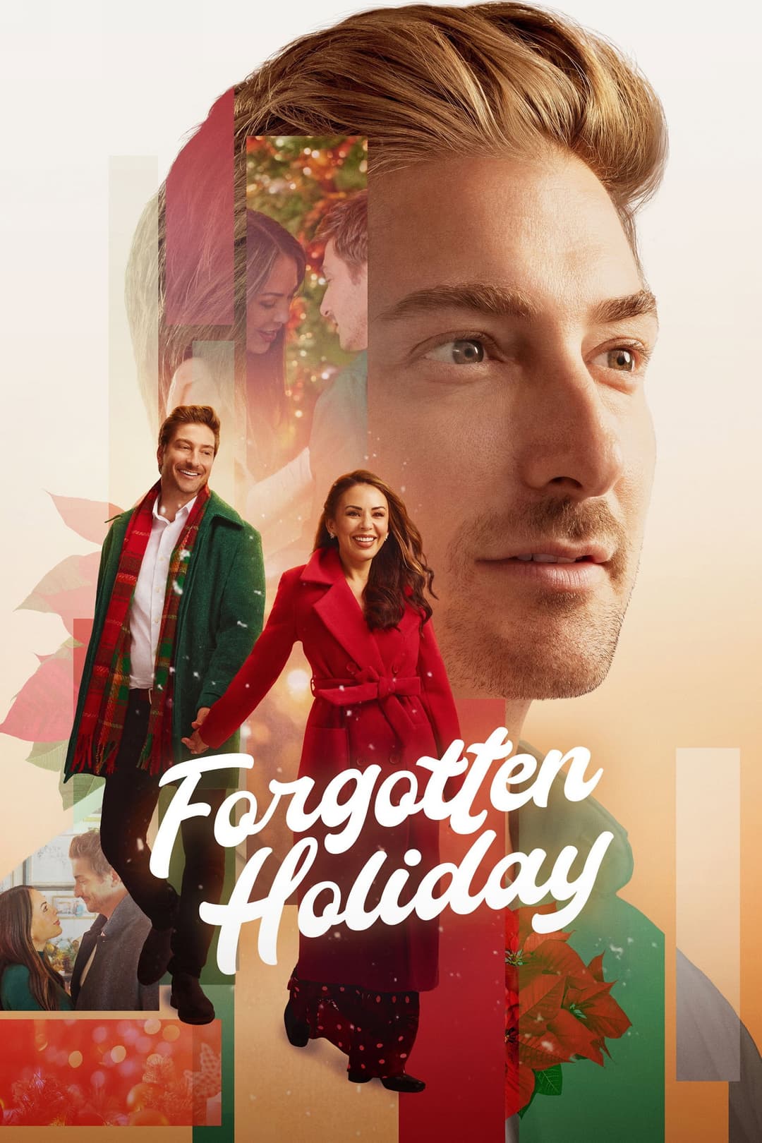 Poster di Forgotten Holiday