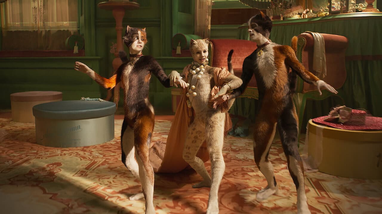 Cats - immagine