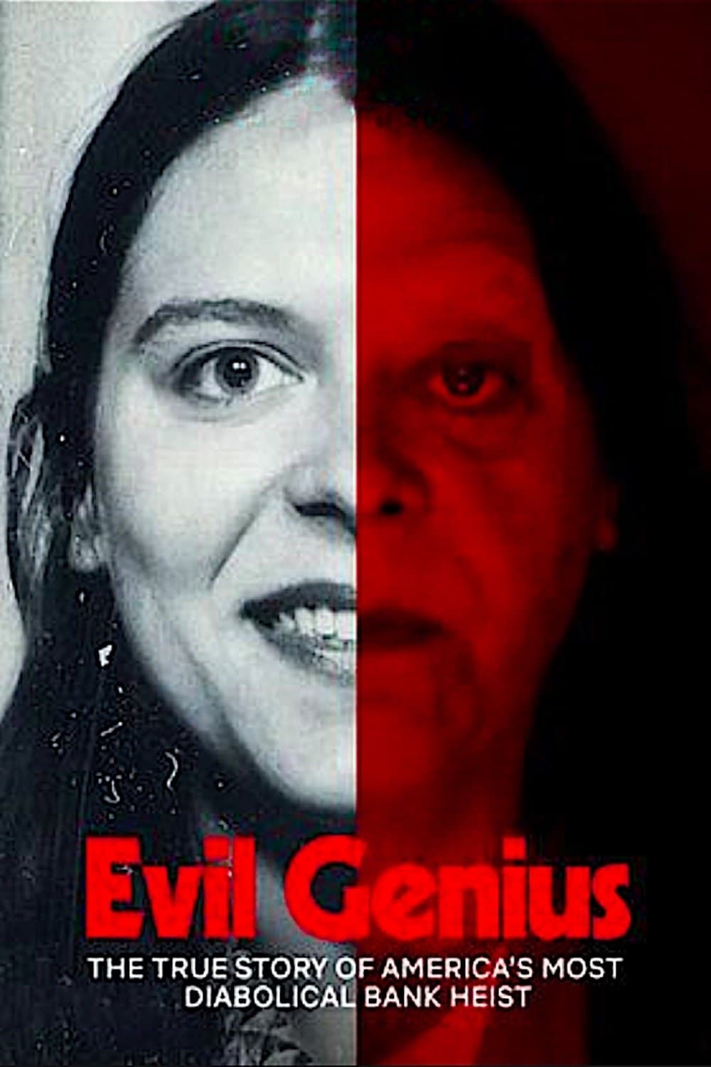 Poster di Evil Genius