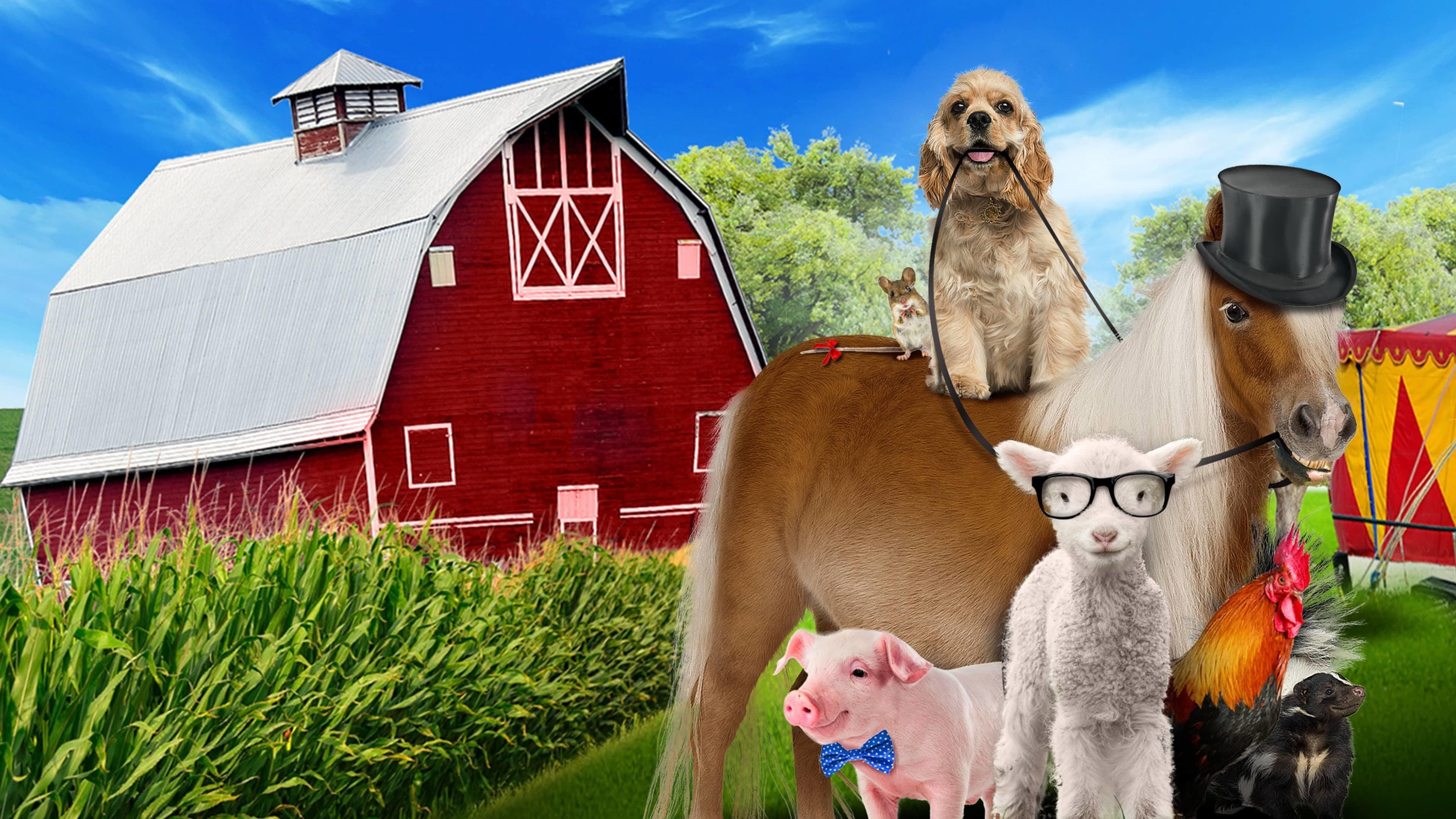 Dog & Pony Show - immagine