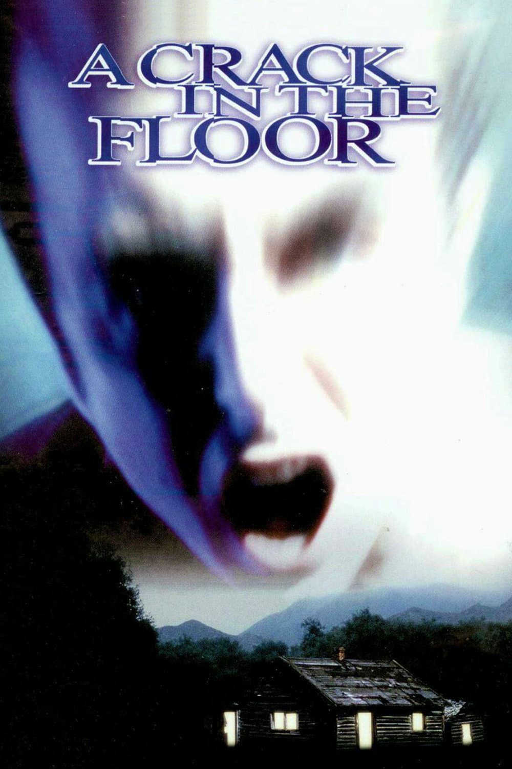 Poster di A Crack in the Floor