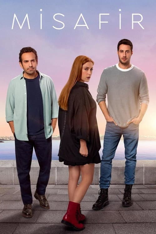 Poster di Misafir
