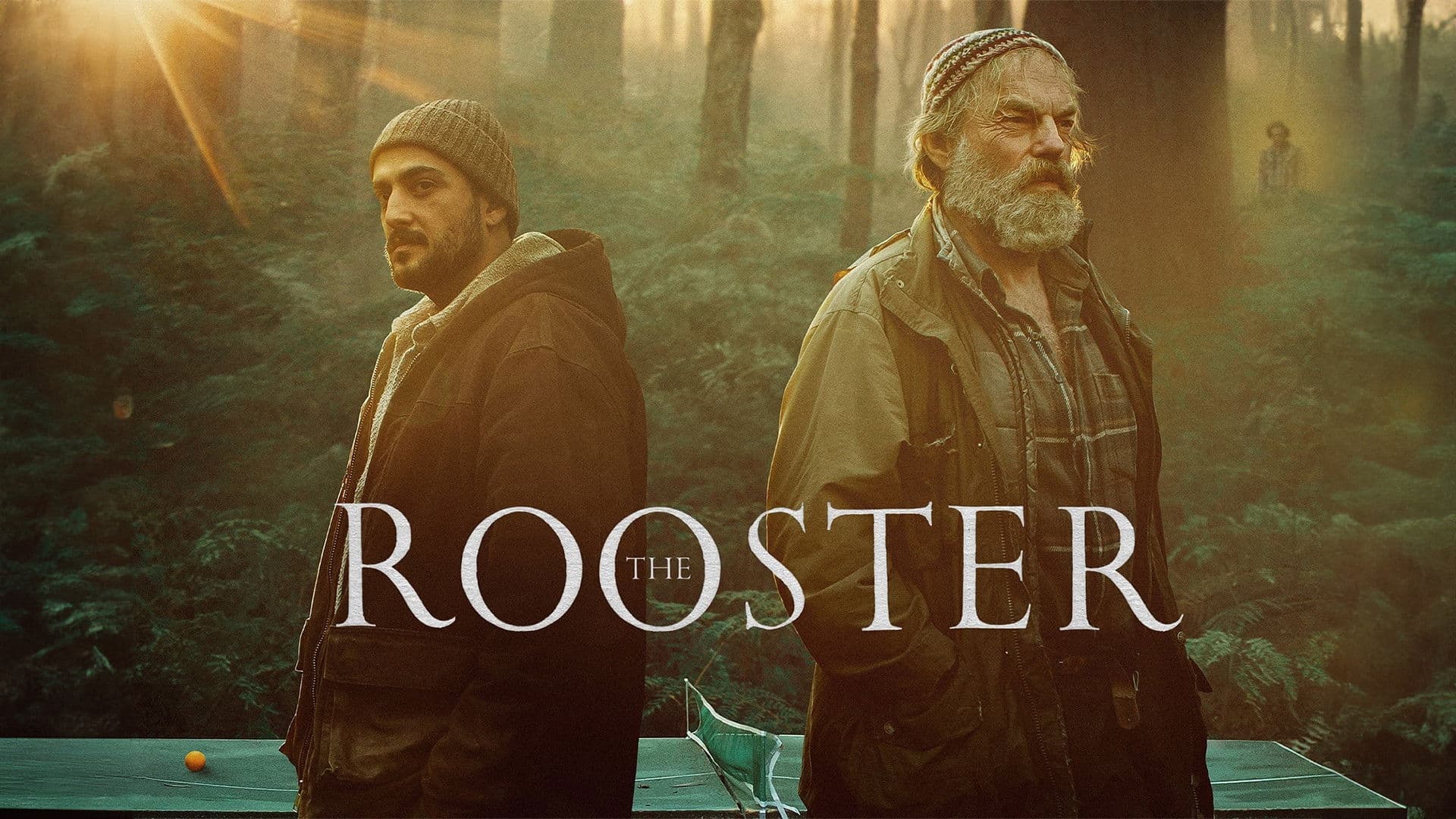 The Rooster - immagine