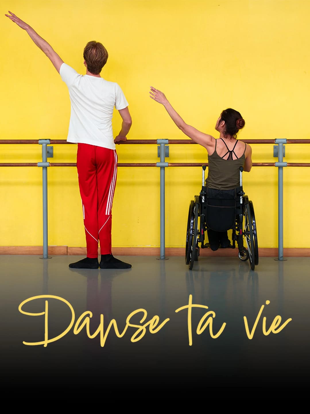 Poster di Danse ta vie