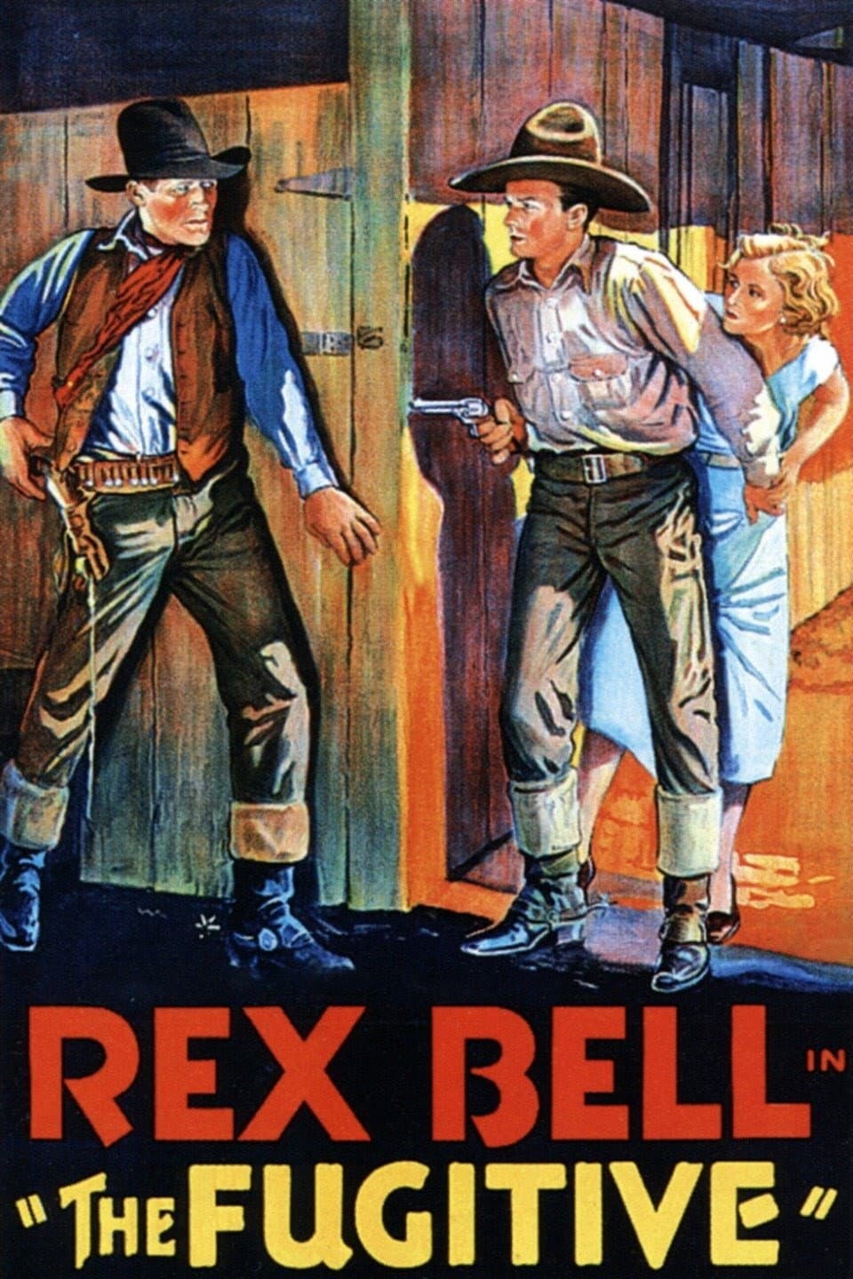 Poster di The Fugitive