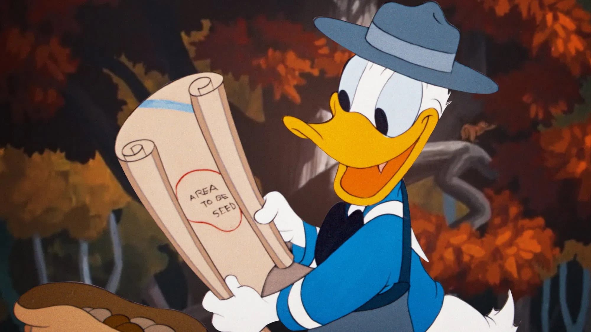 Le Disavventure di Paperino - immagine