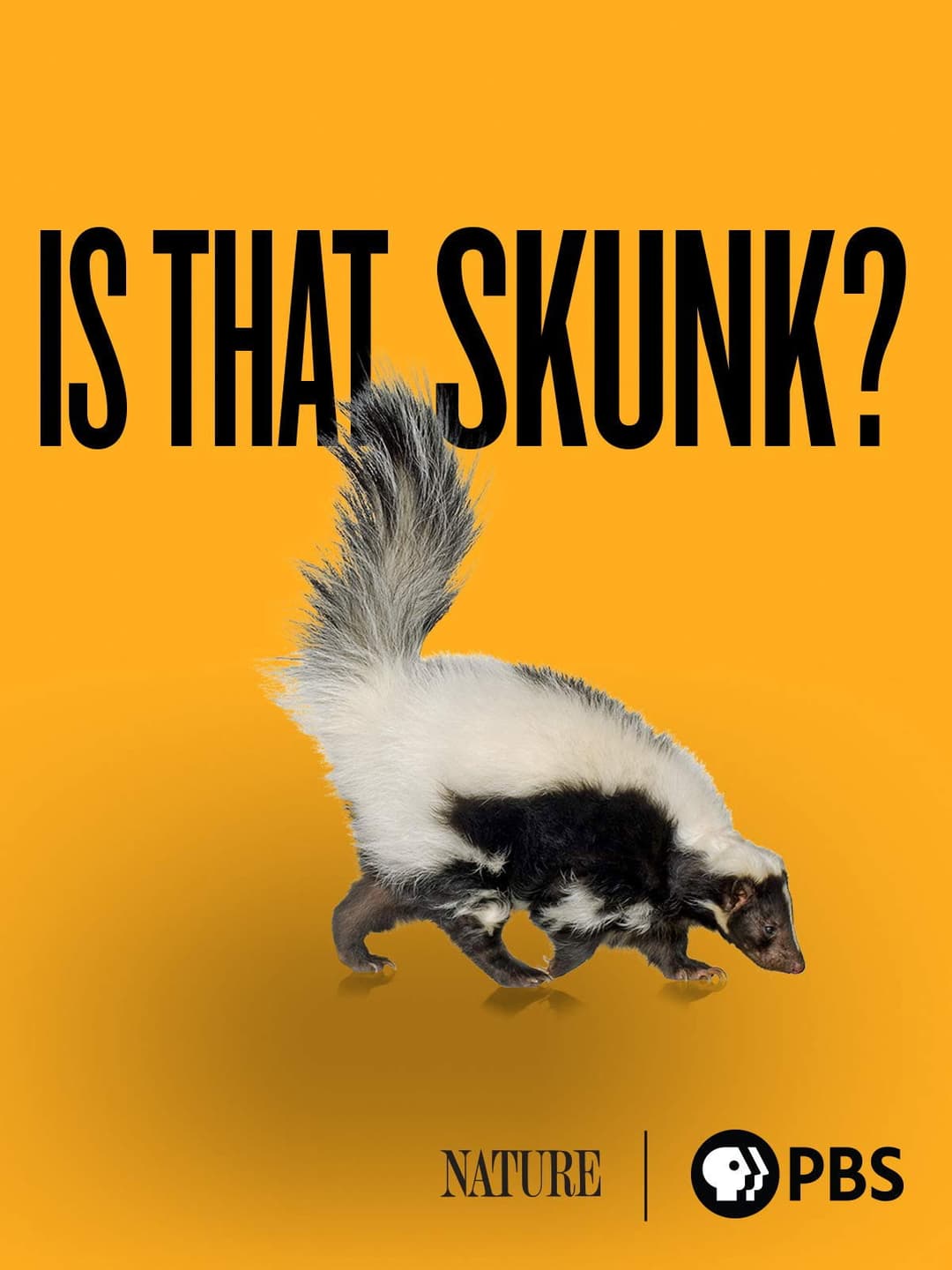 Poster di Is That Skunk?