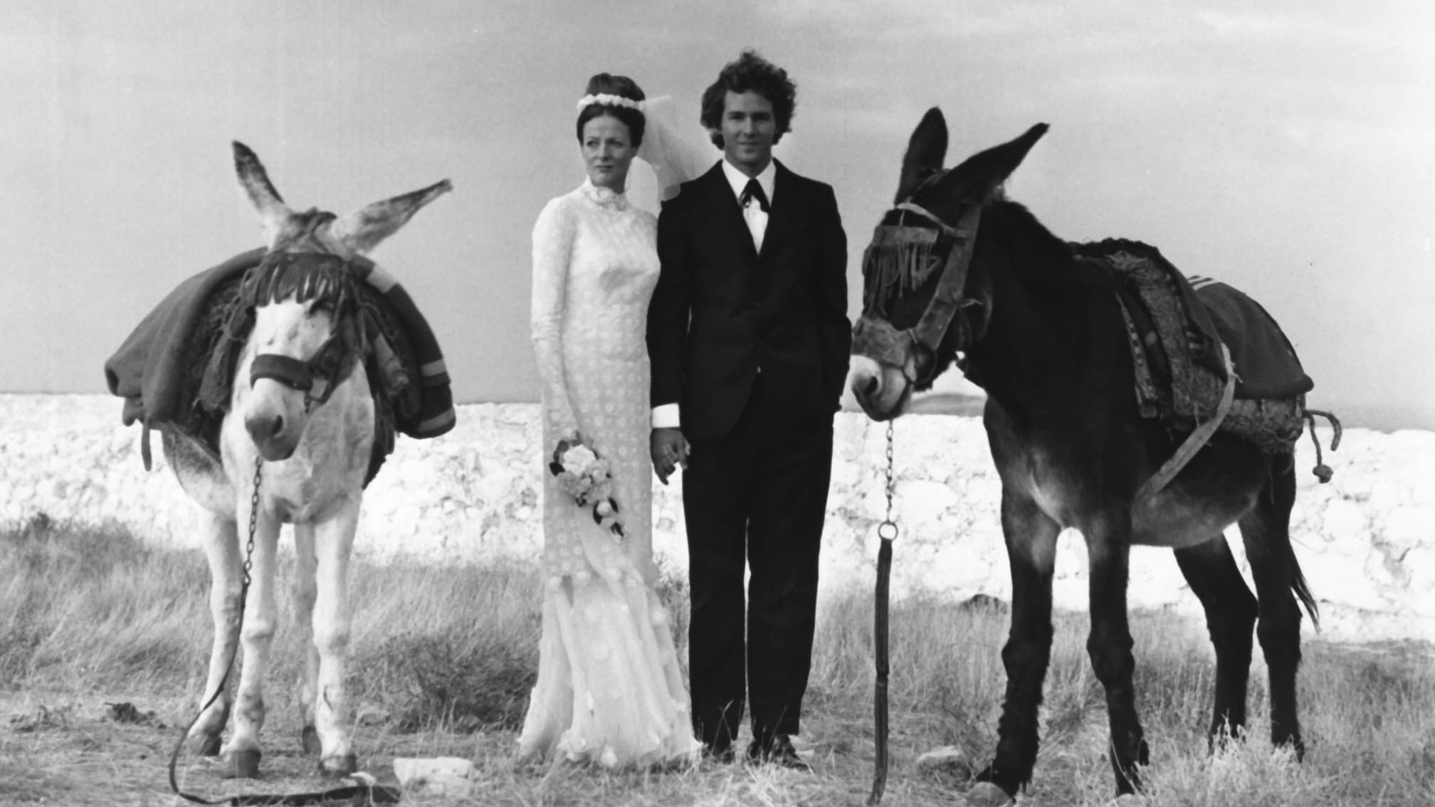 Amore, dolore e allegria - immagine