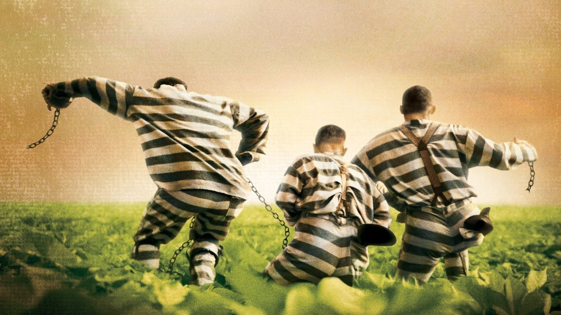 Fratello, dove sei? - immagine