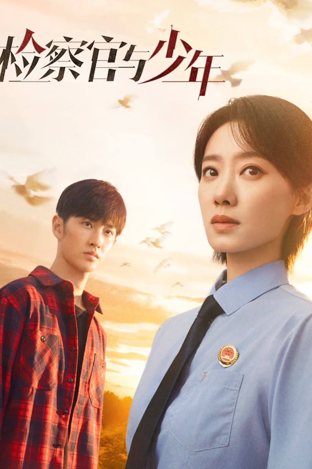 Poster di 检察官与少年