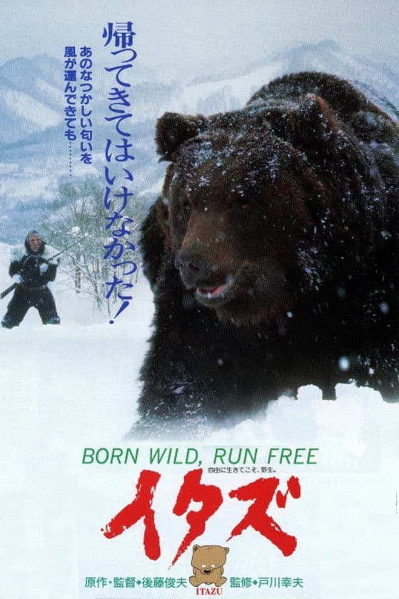 Poster di イタズ　－熊－