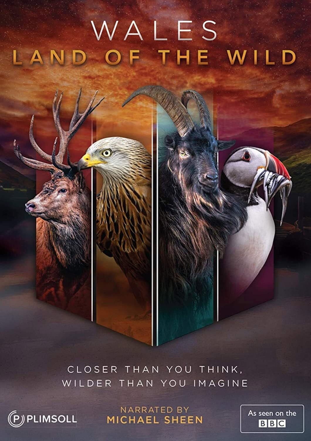 Poster di Wales: Land of the Wild