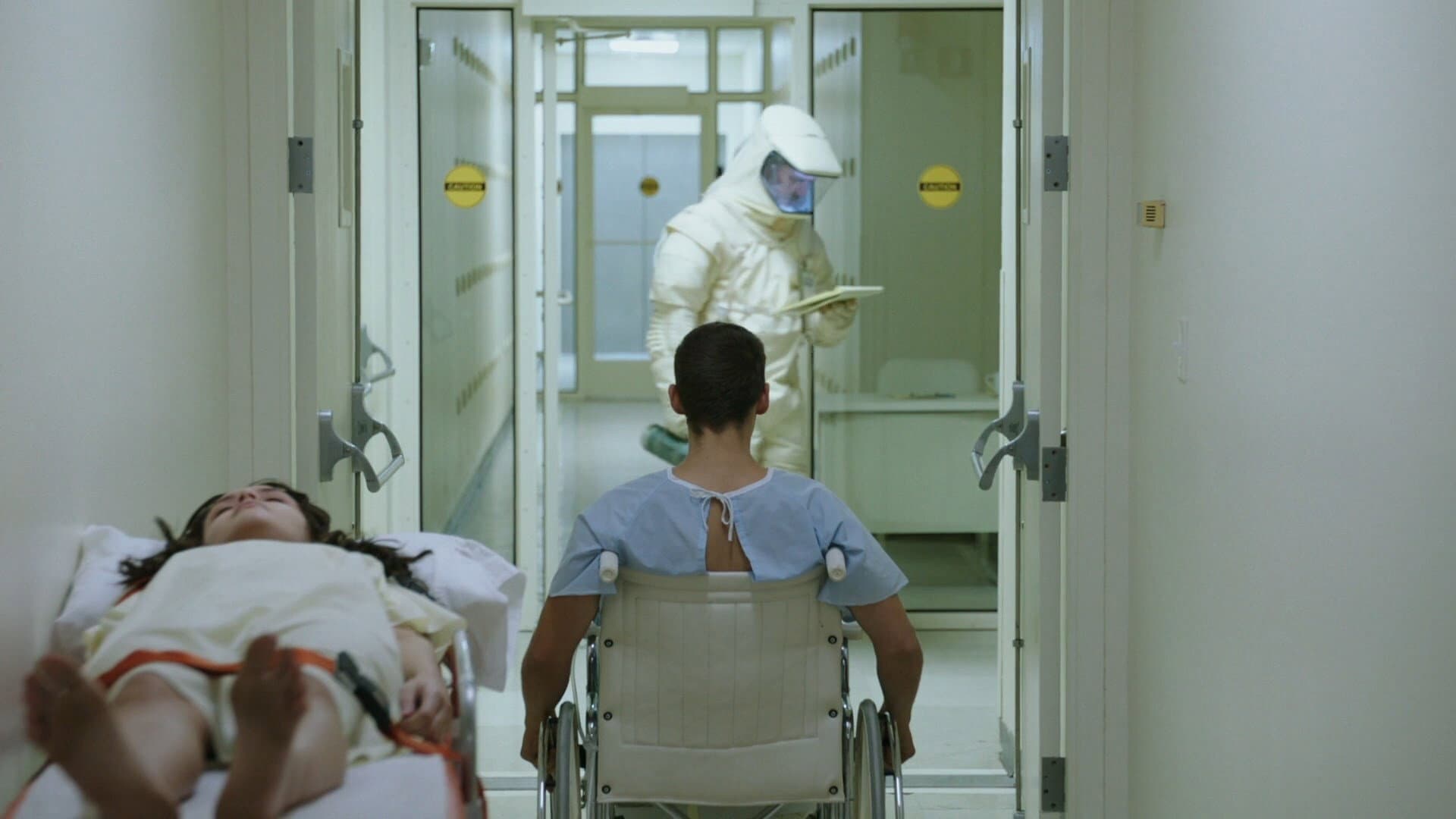 The Signal - immagine