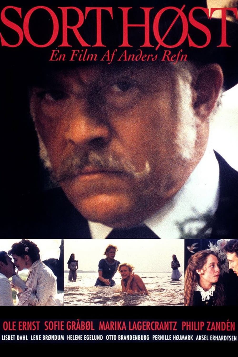 Poster di Black Harvest
