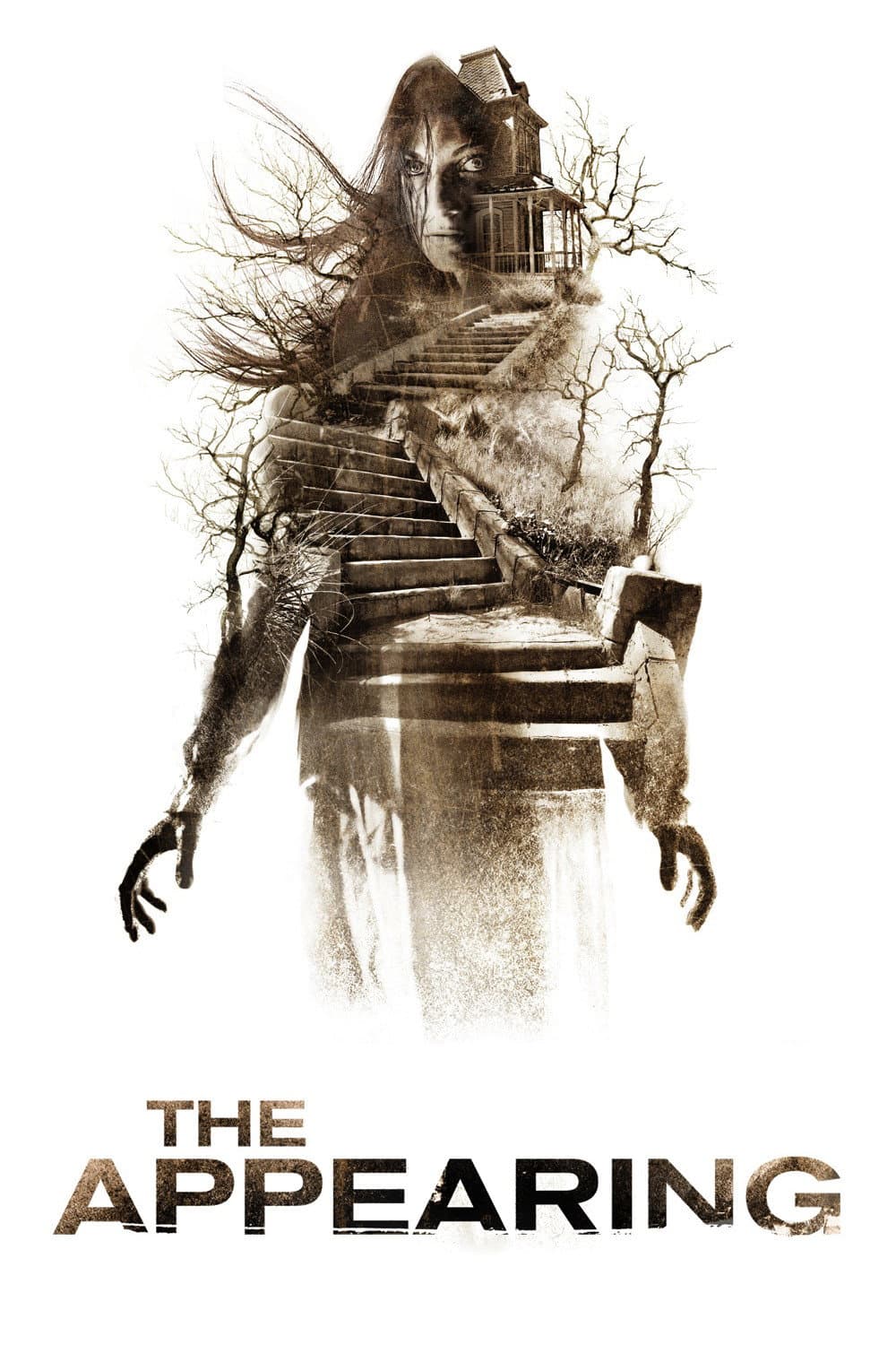 Poster di The Appearing