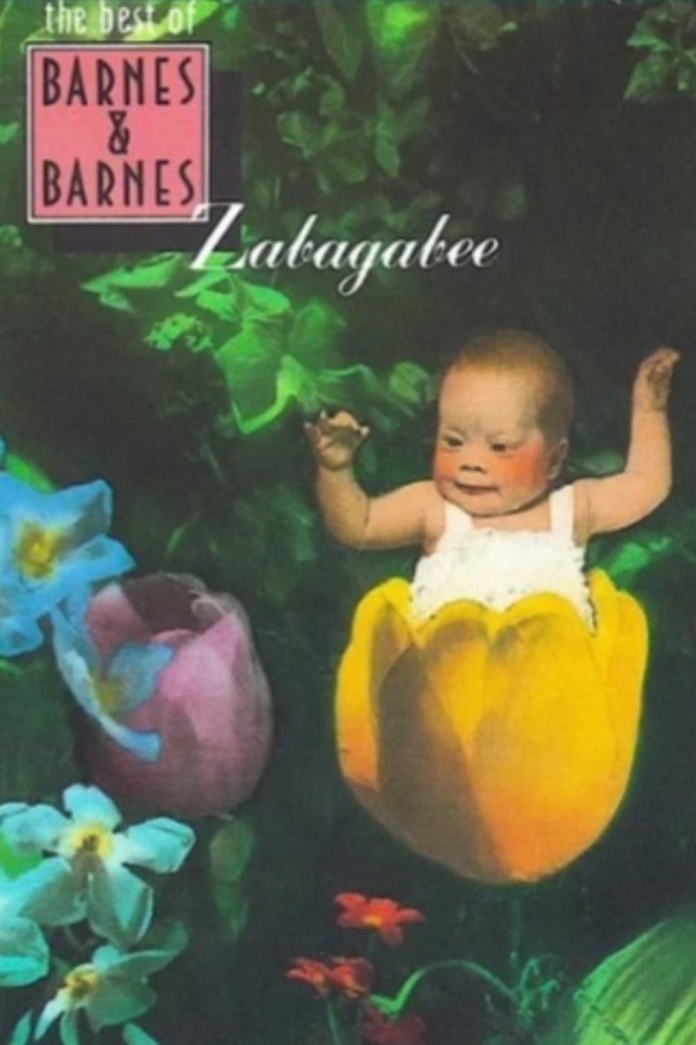 Poster di Zabagabee
