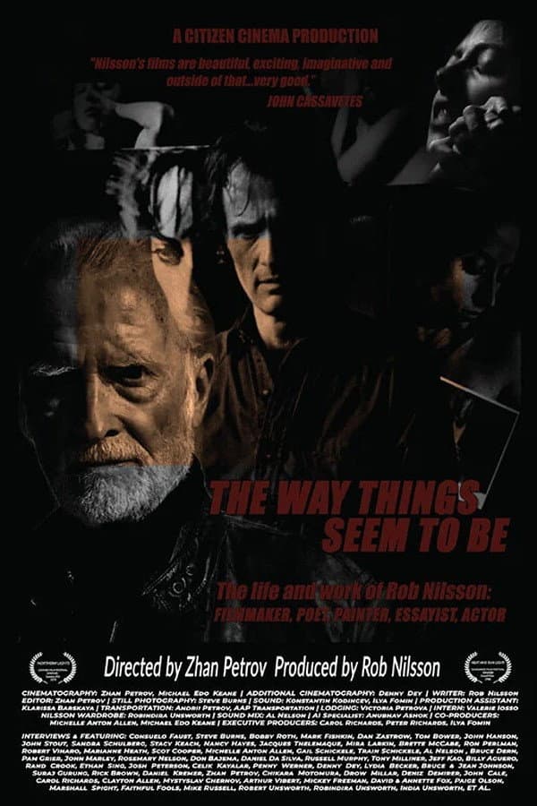 Poster di The Way Things Seem to Be