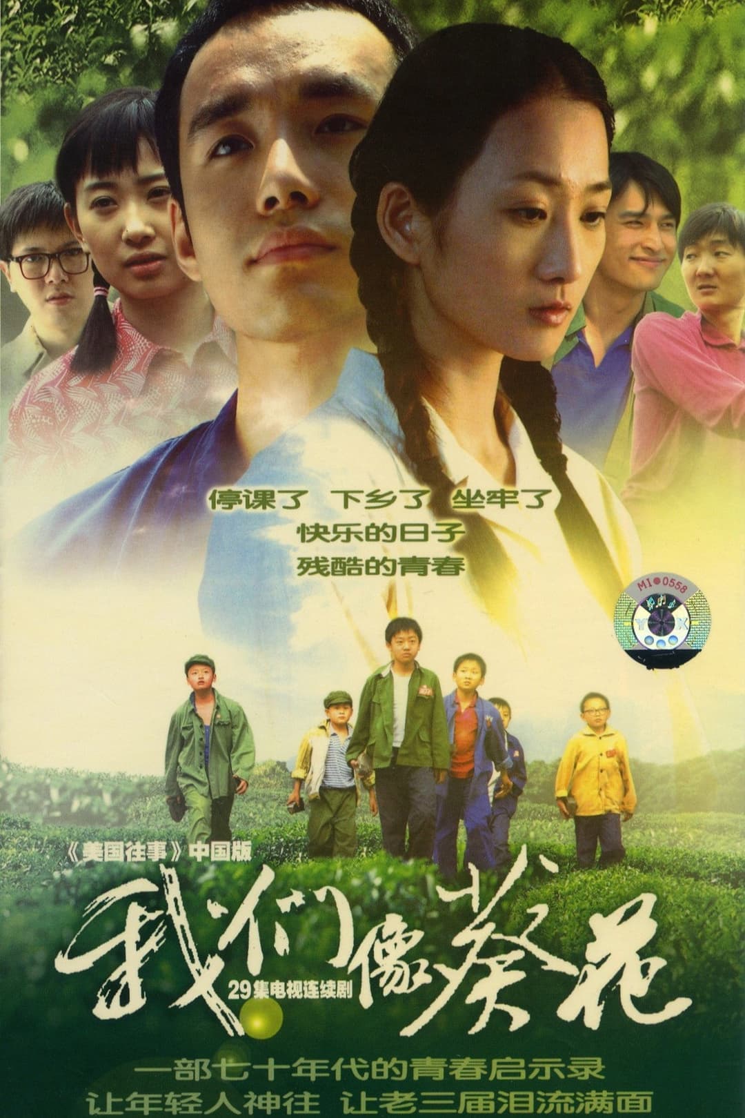 Poster di 我们像葵花
