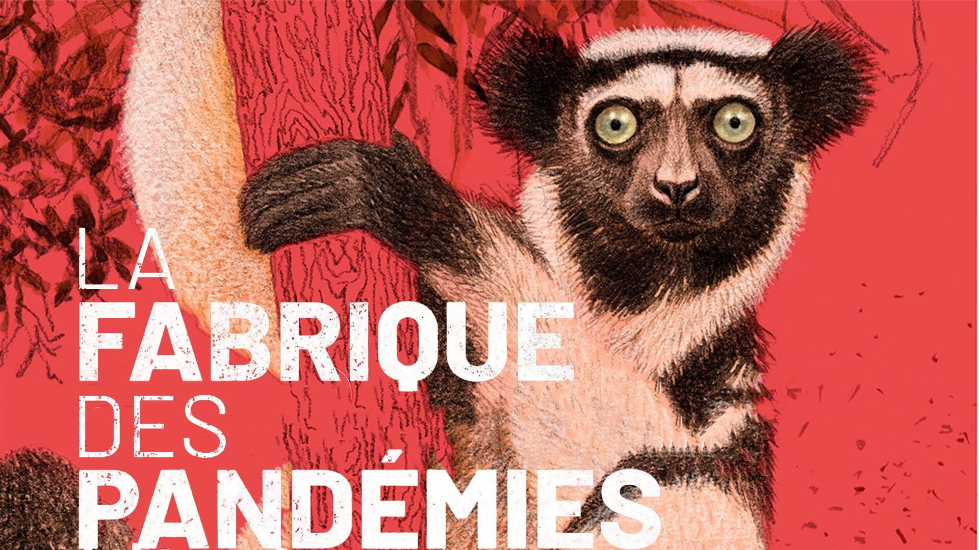La fabrique des pandémies - immagine