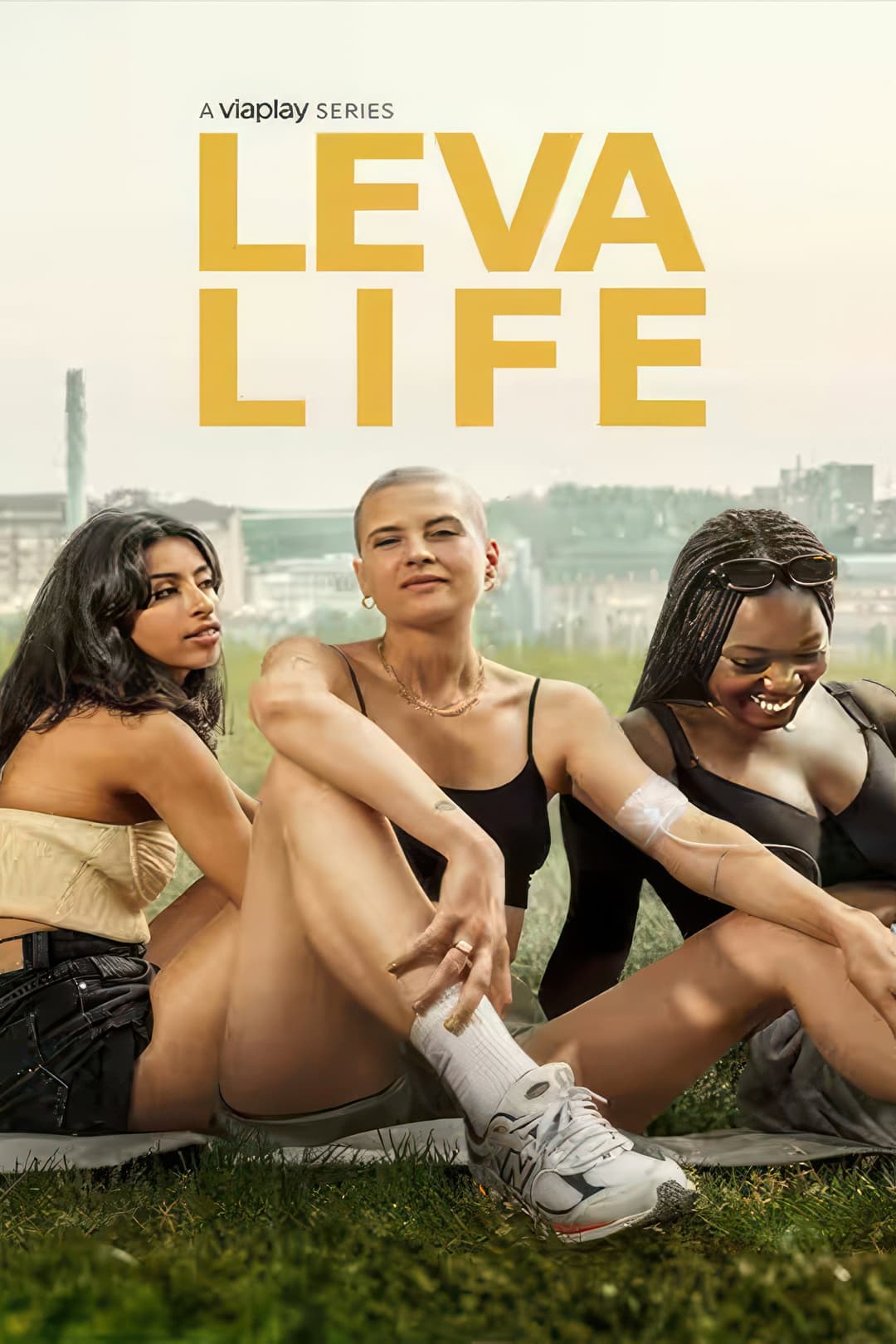 Poster di Leva Life