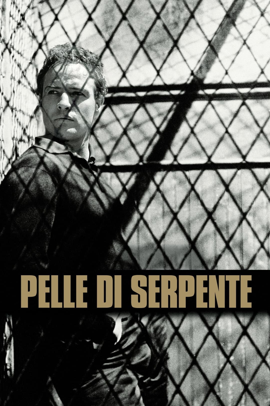 Poster di Pelle di serpente
