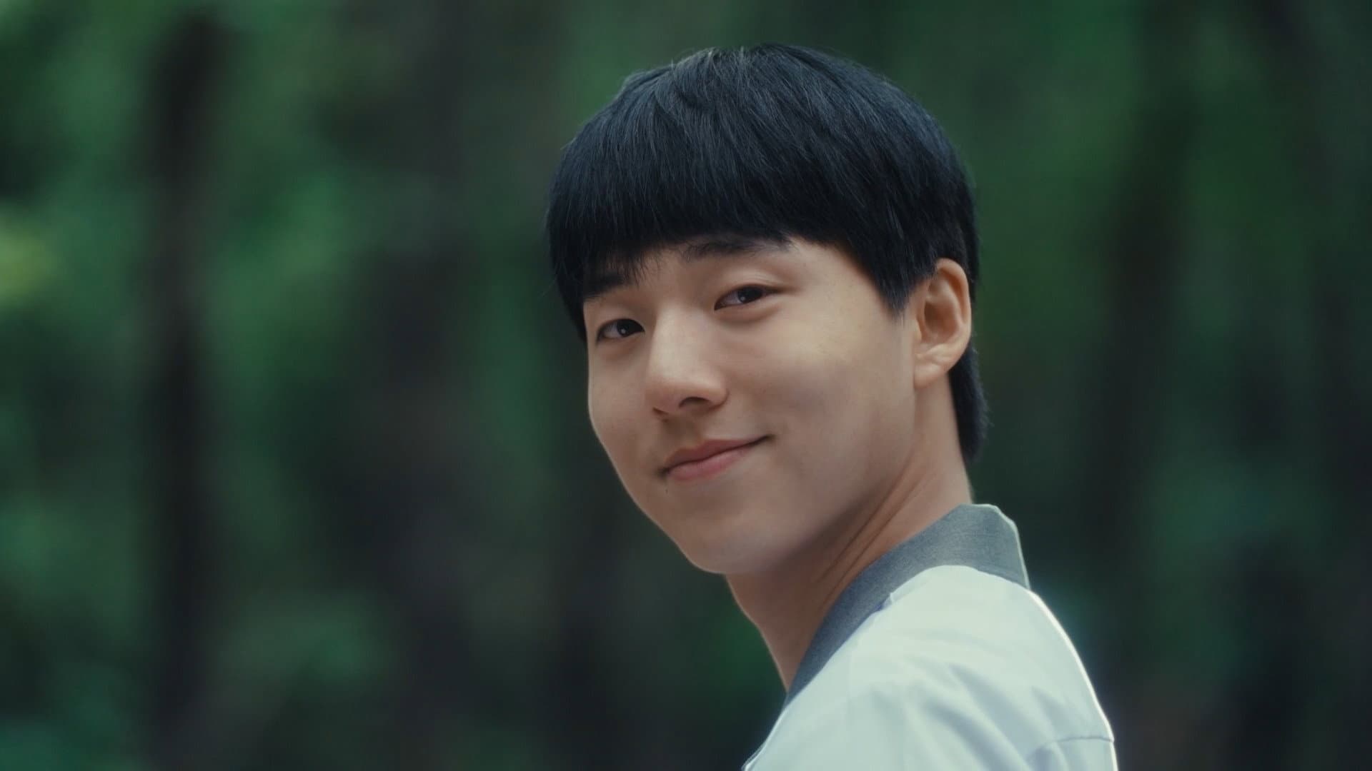 여름의 카메라 - immagine