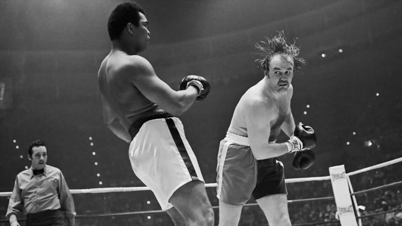The Real Rocky - immagine