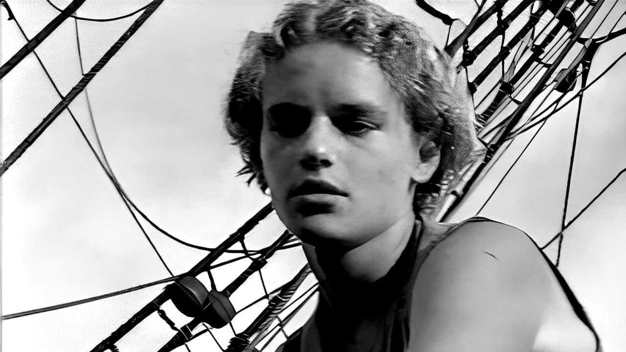 Ecce Pirate - immagine
