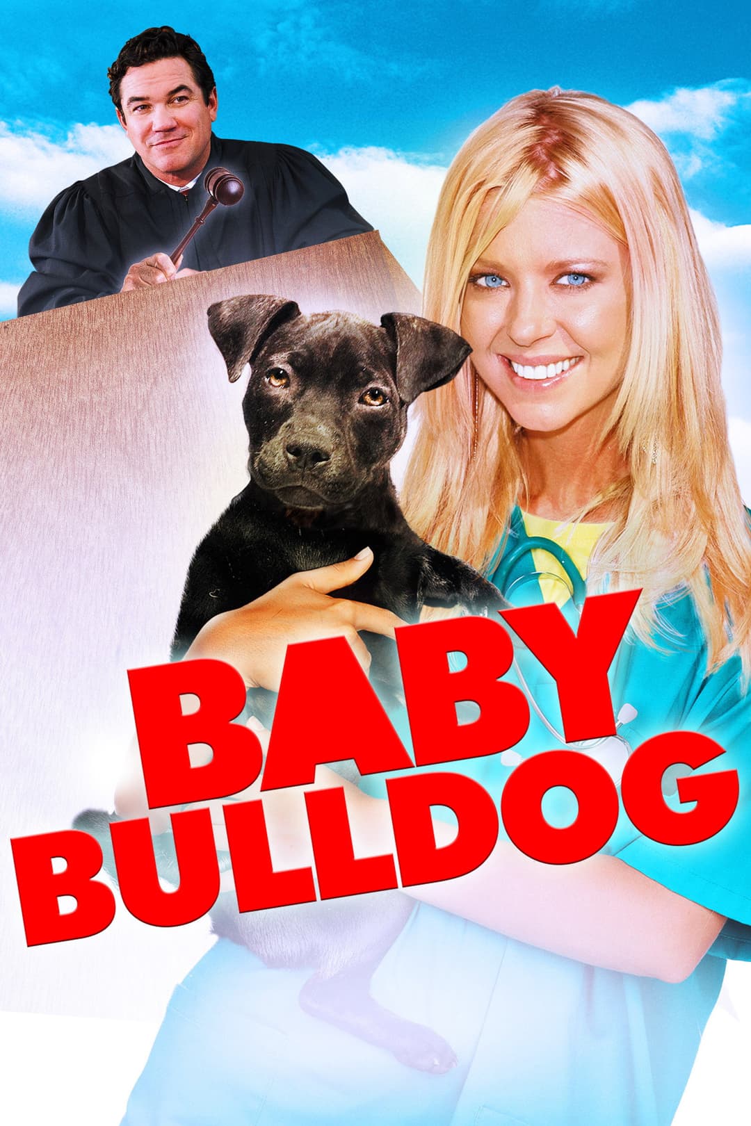Poster di Baby Bulldog