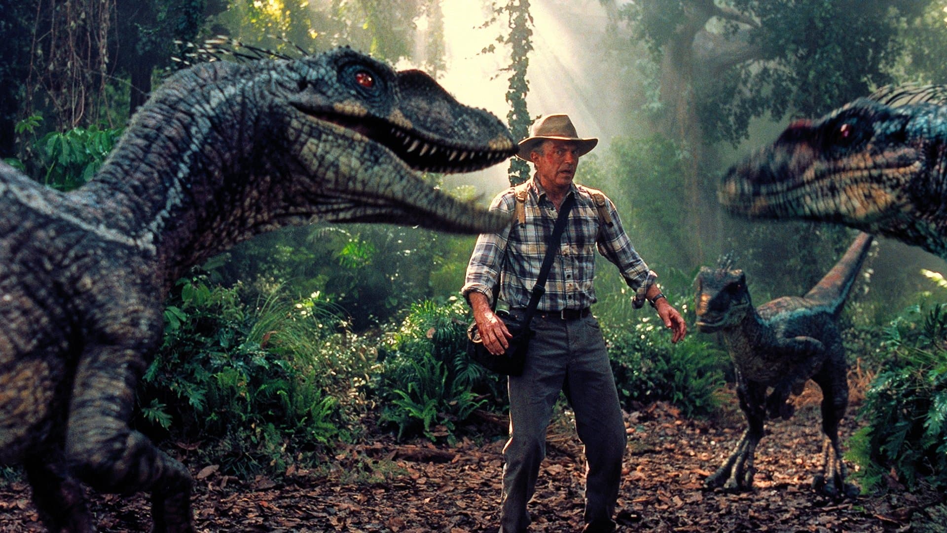 Jurassic Park III - immagine