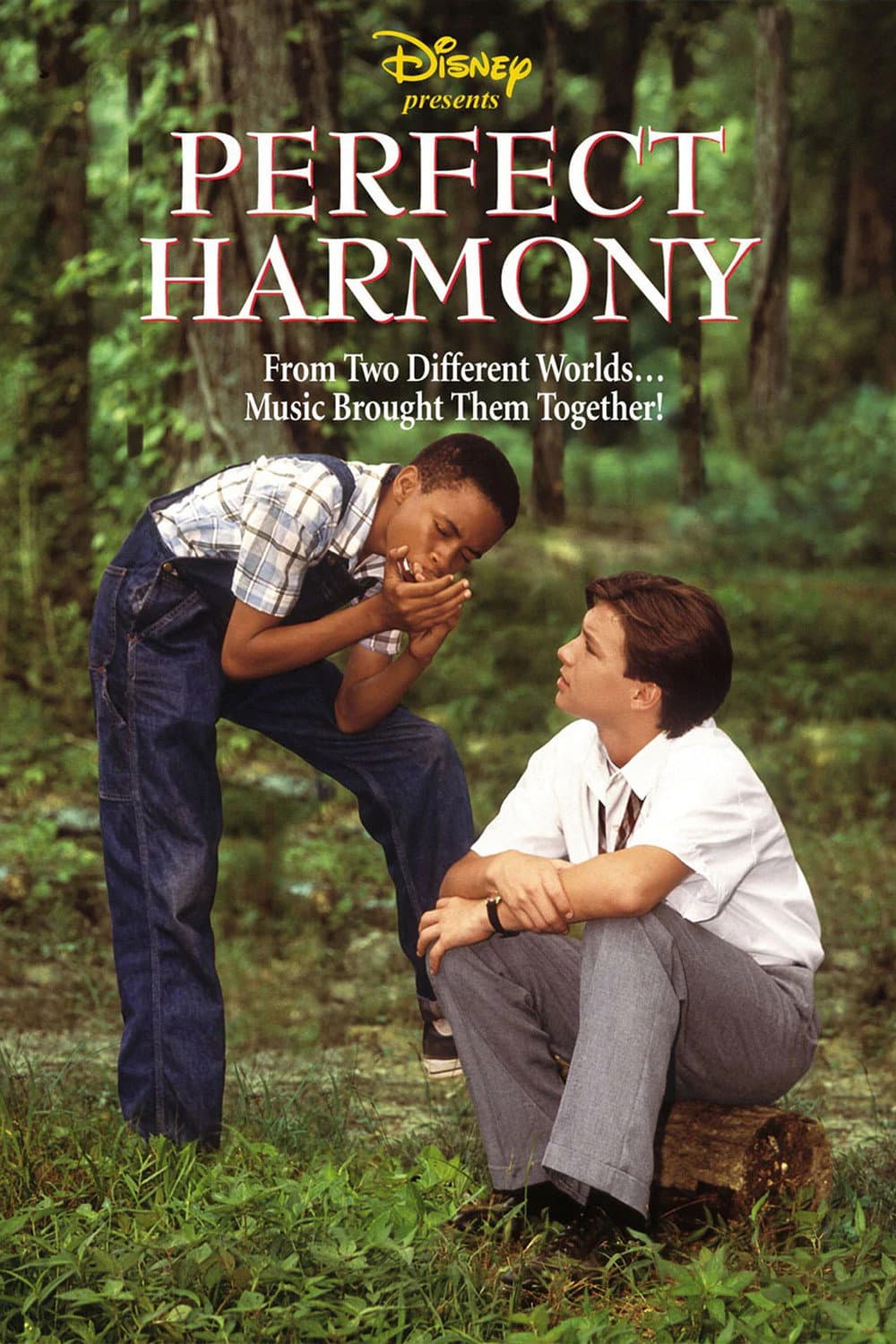 Poster di Perfect Harmony