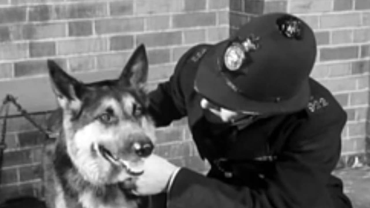 Police Dog - immagine