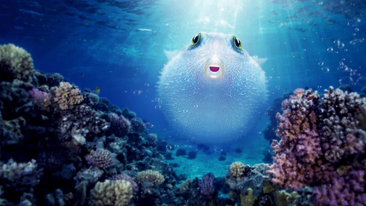 Pallino e le meraviglie della barriera corallina - immagine