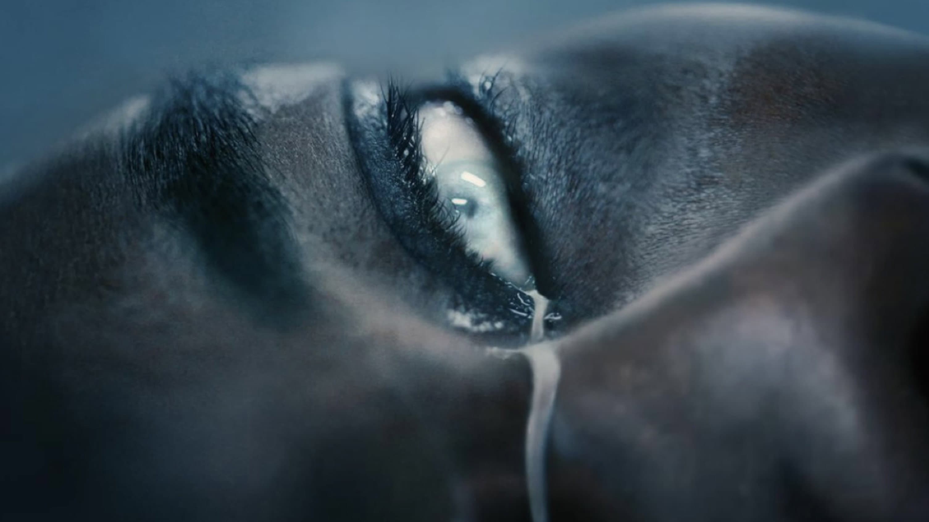 Spilled Milk - immagine