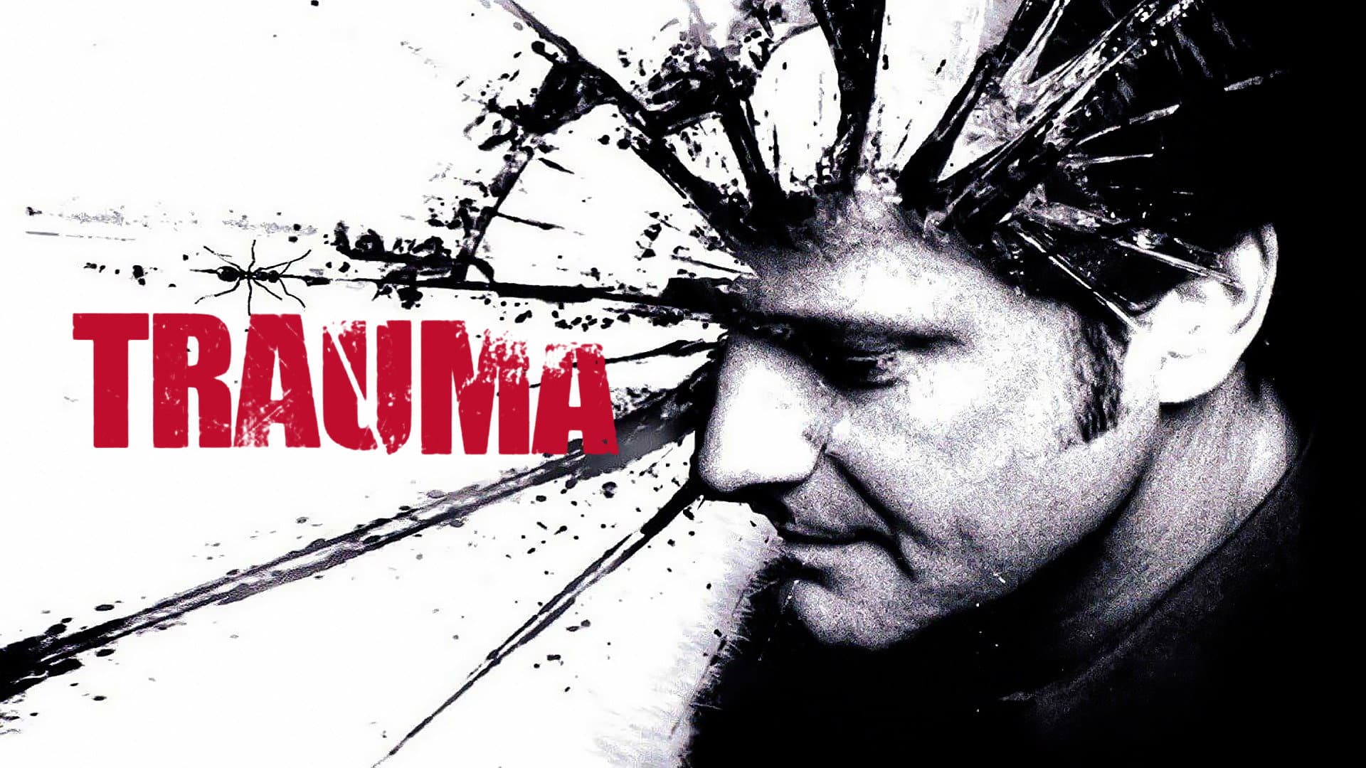Trauma - immagine